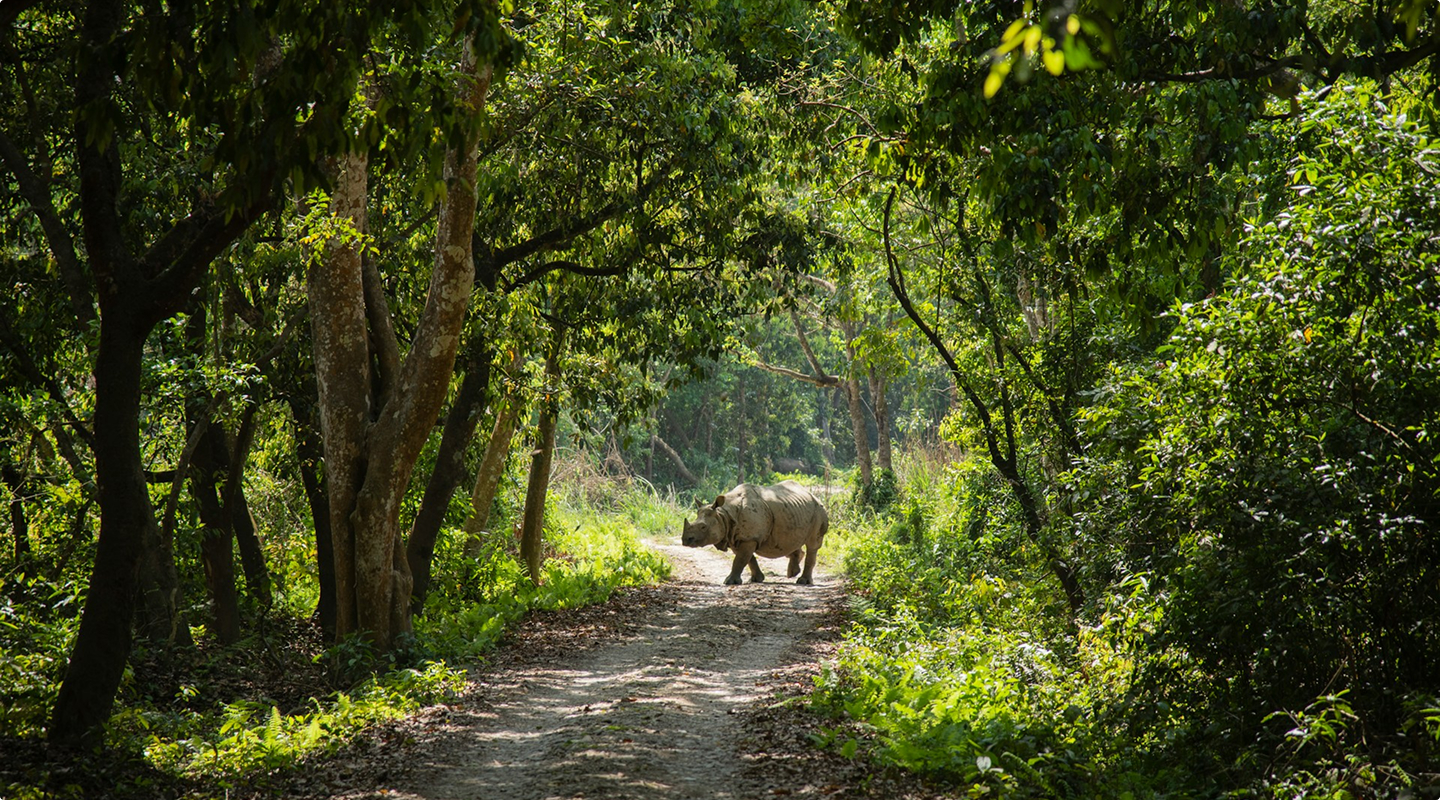 Best of Nepal (3)