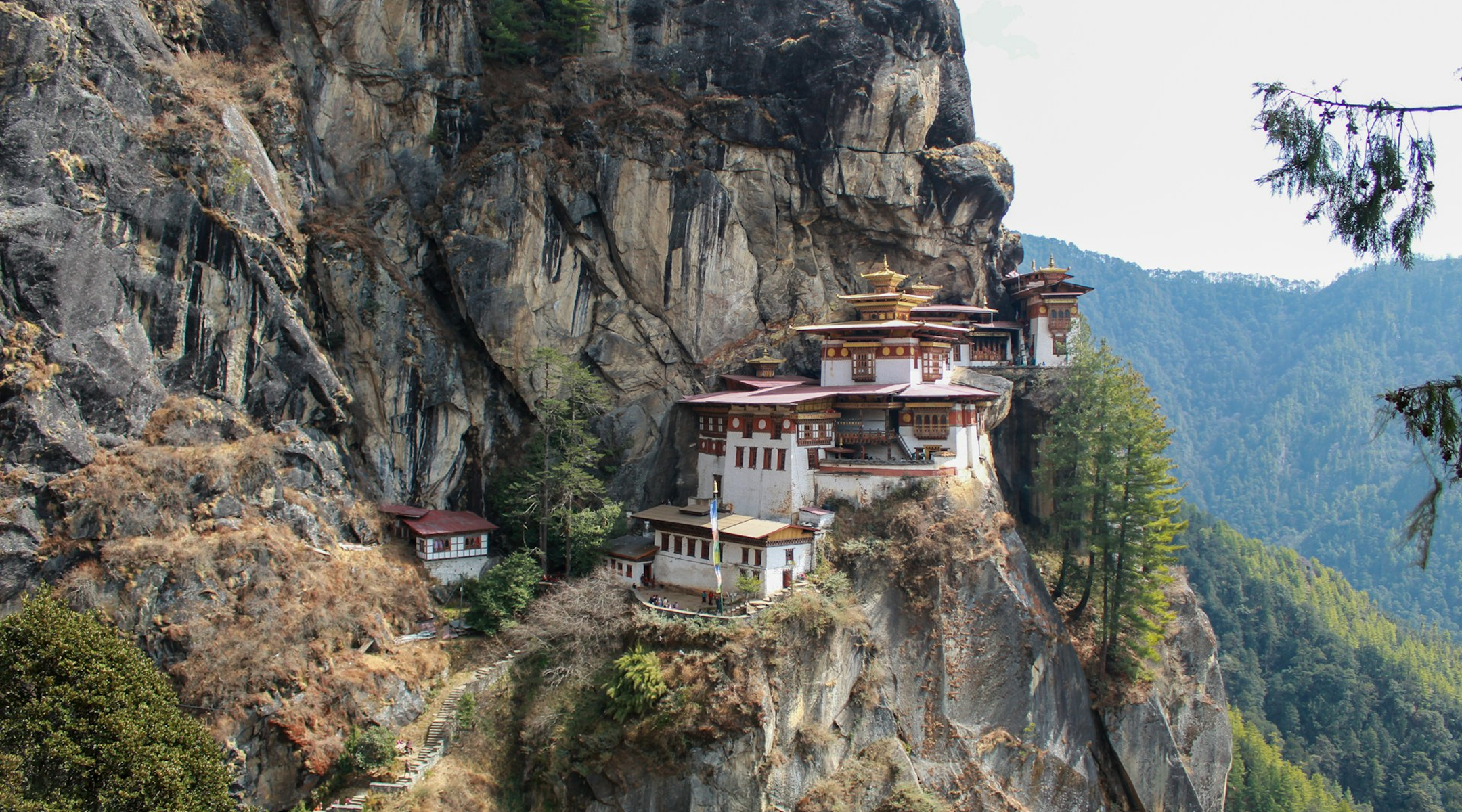 Dive into Bhutan