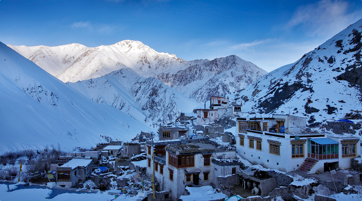 Snow Leopard Tour (2)