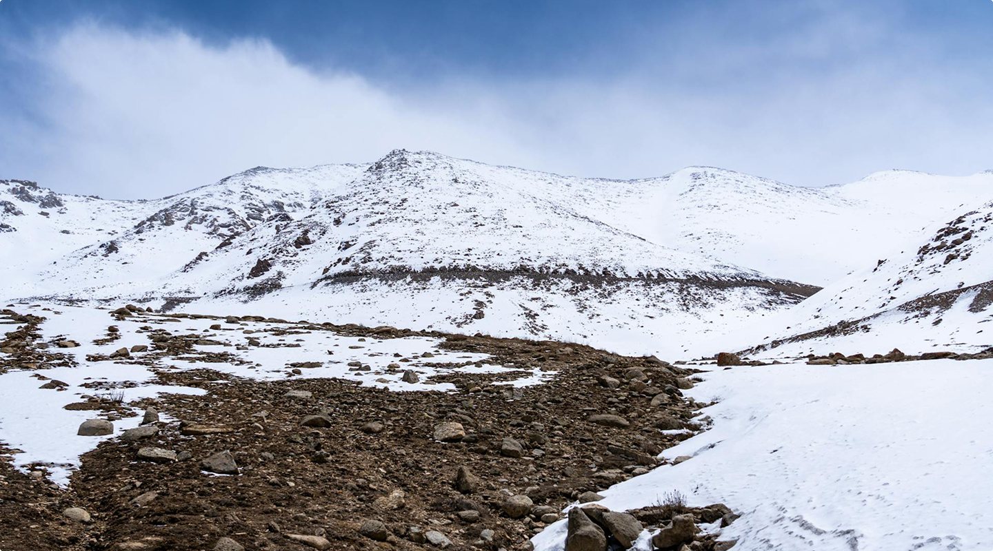 Snow Leopard Tour (3)