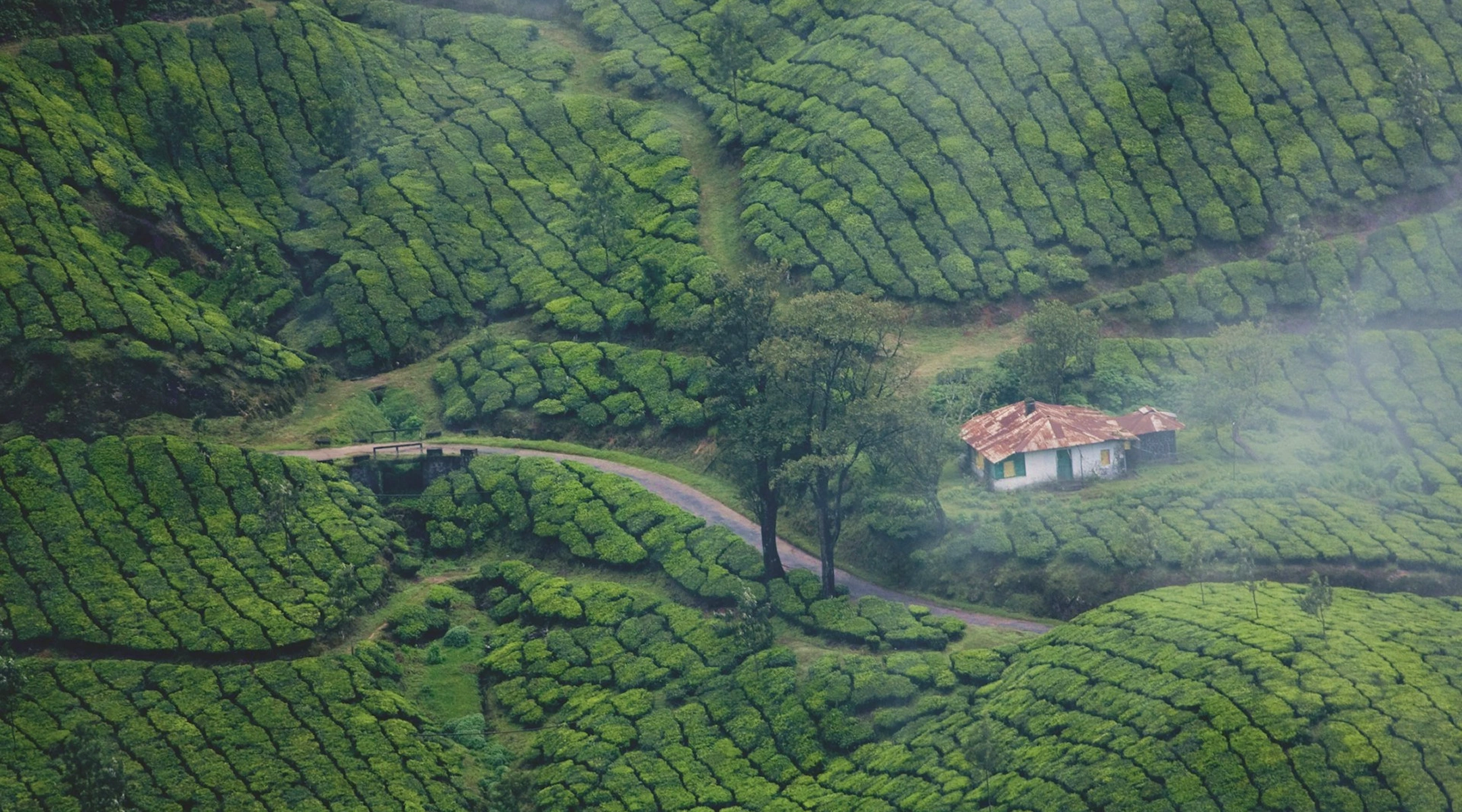 Tamil Nadu
